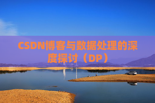 CSDN博客与数据处理的深度探讨（DP）
